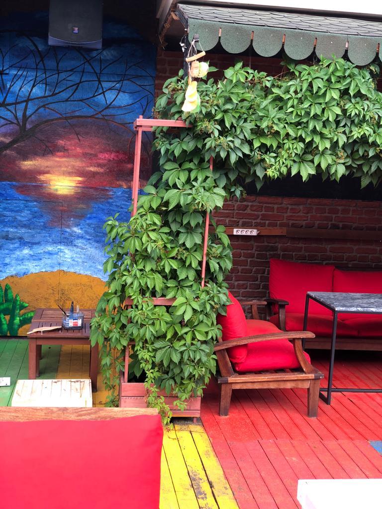 Narquilla Cafe Bar Galeri 14